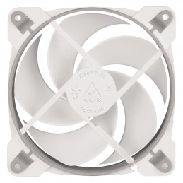 ARCTIC BioniX P120 Tietokonekotelo Tuuletin 12 cm Harmaa, Valkoinen